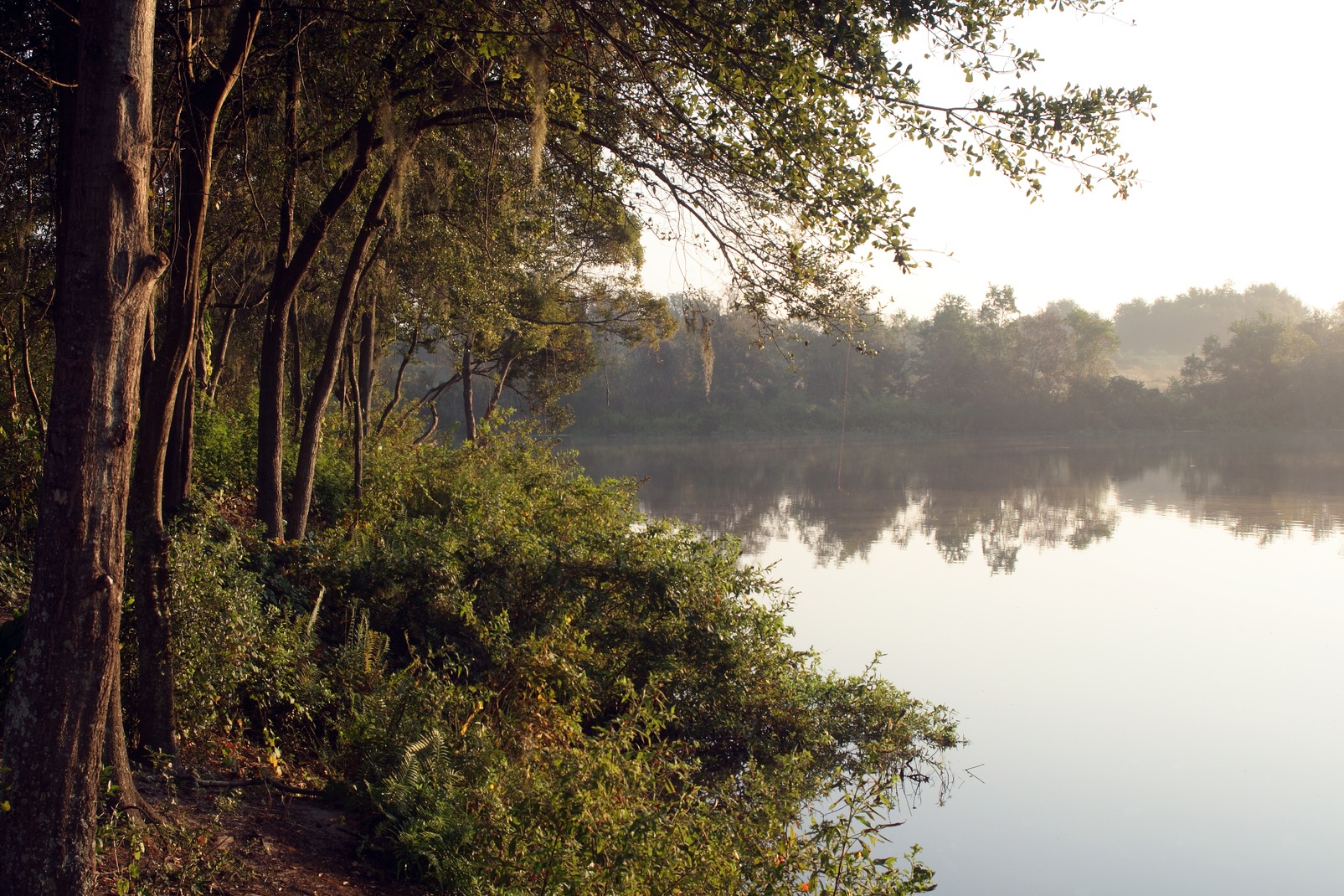 Discover Central Florida's Own Famous Explorers